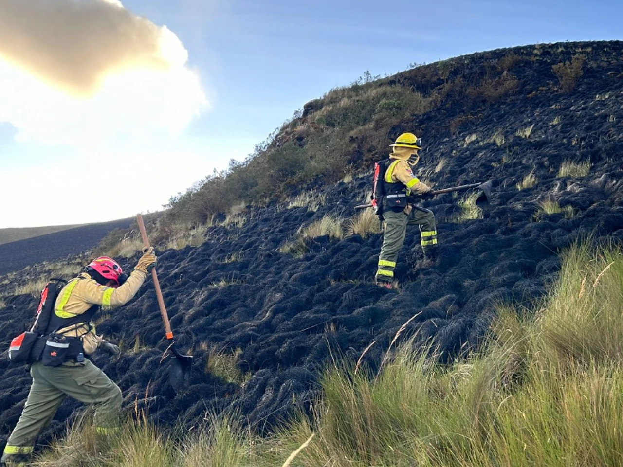Quito lanza campaña contra incendios forestales