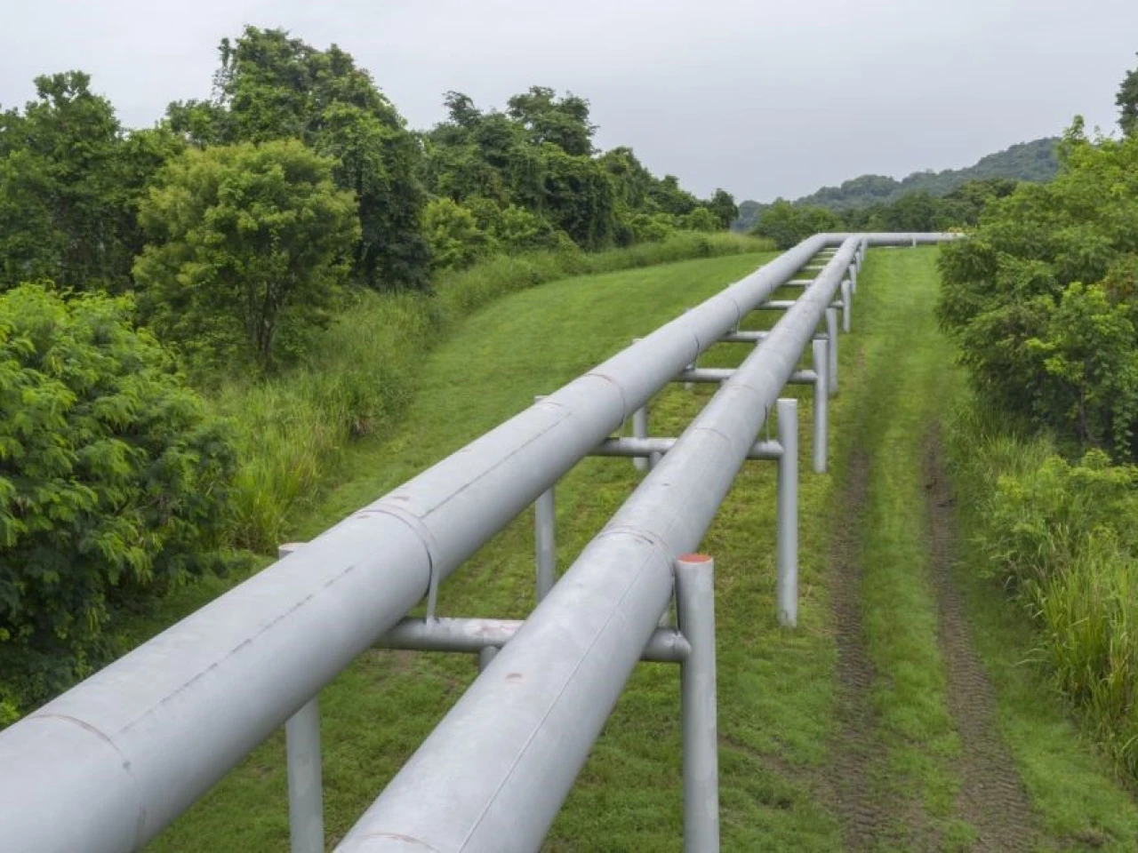 Petroecuador suspendió bombeo de petróleo tras rotura del SOTE