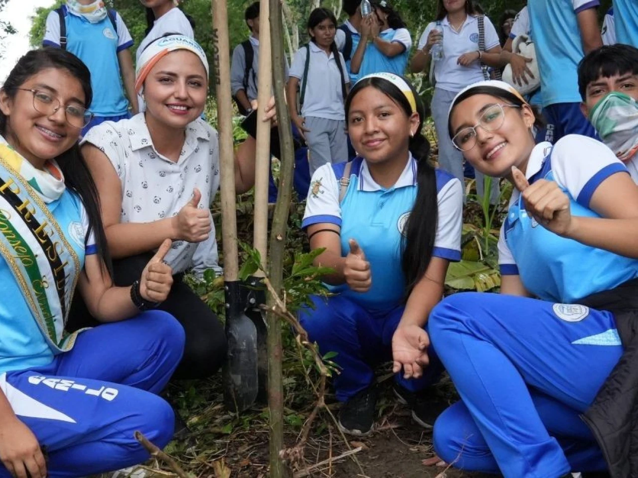 Sucumbíos arranca plan de reforestación con 80.000 árboles en la cuenca del Aguarico