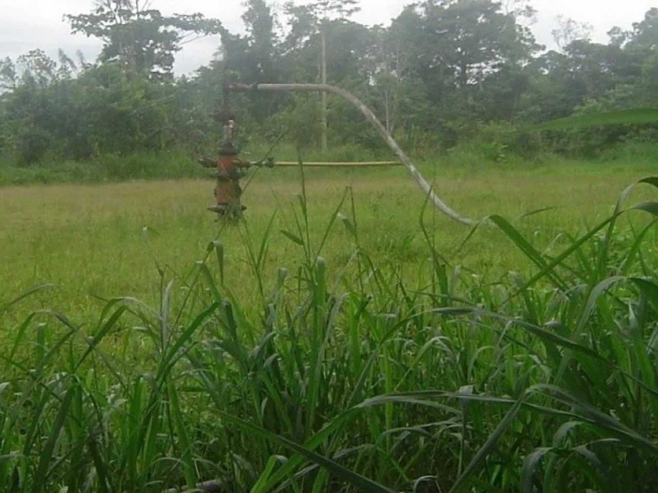 2 trabajadores de Petroecuador fueron hallados asesinados en Shushufindi