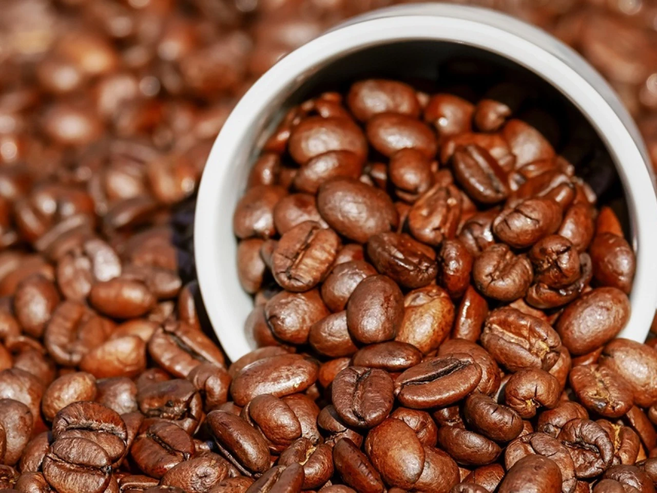 El precio del café registra un aumento 