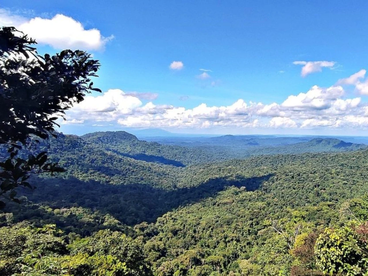 Ambiente oficializa corredor ecológico entre Llanganates y Yasuní para fortalecer la conectividad andino-amazónica
