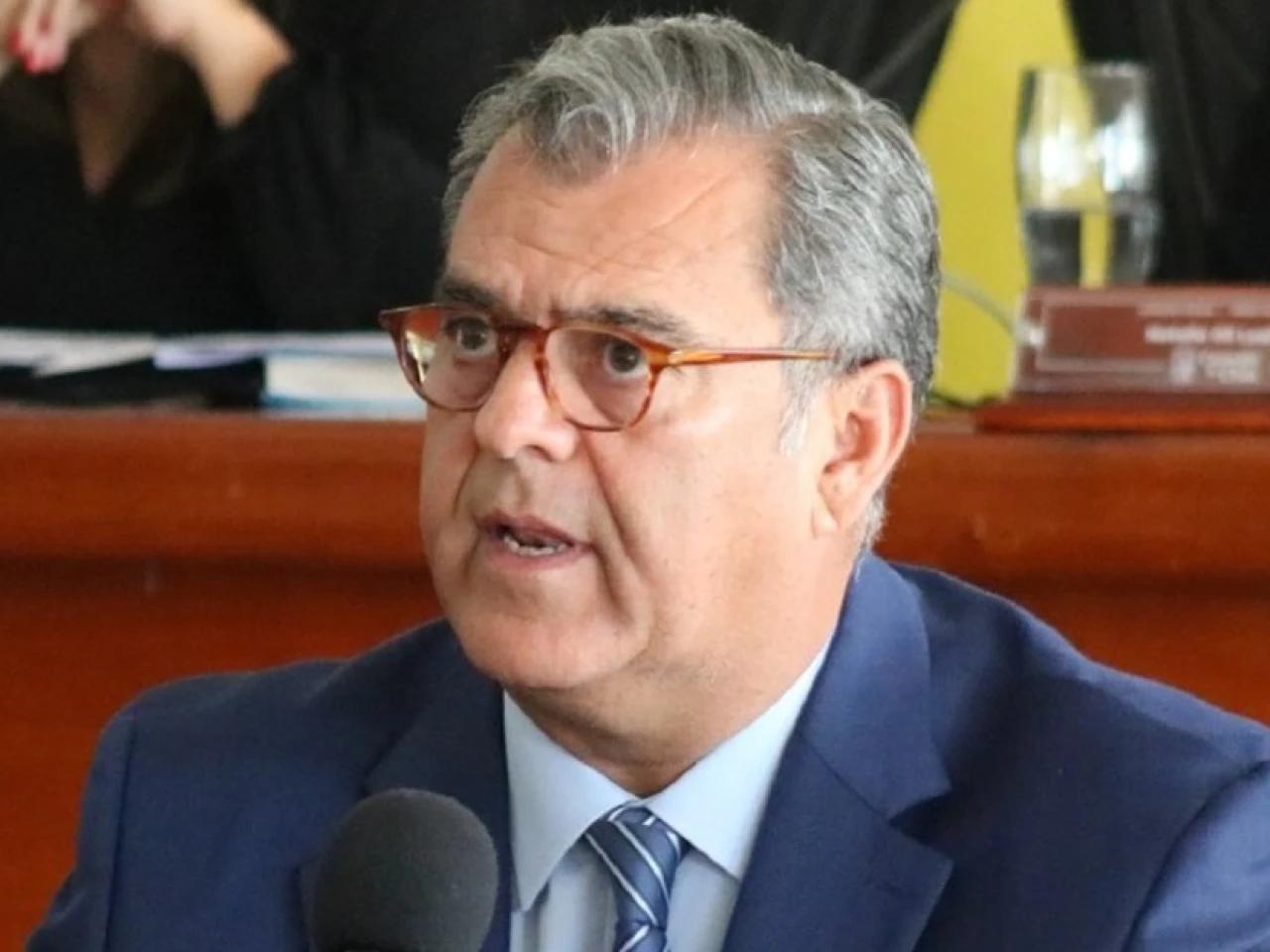 Ariza: Ecuador se convirtió en un refugio para los grupos irregulares durante el gobierno correísta