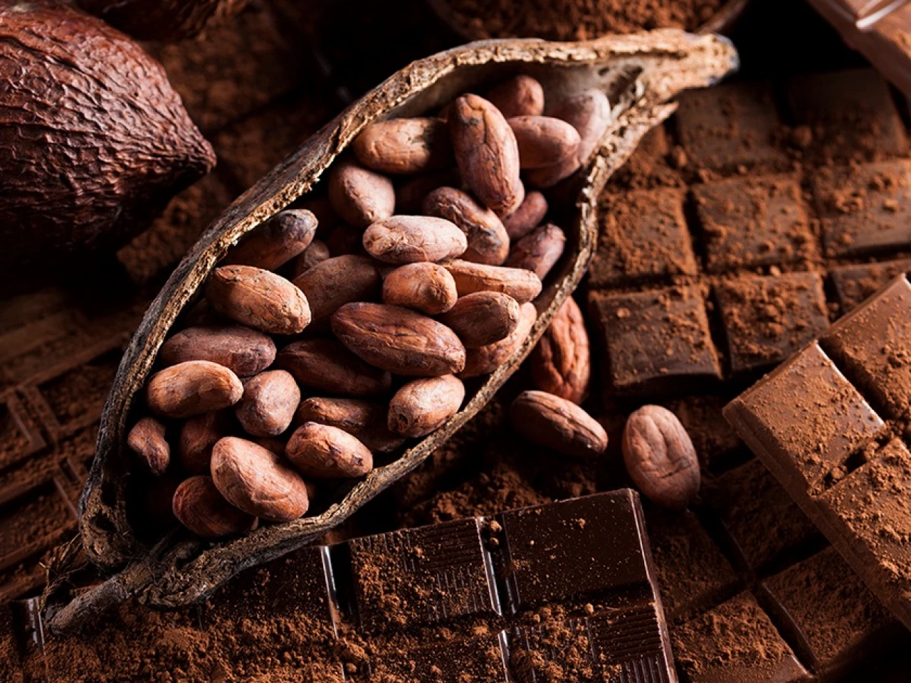 El cacao alcanza precio récord y supera los $9.600 por tonelada 