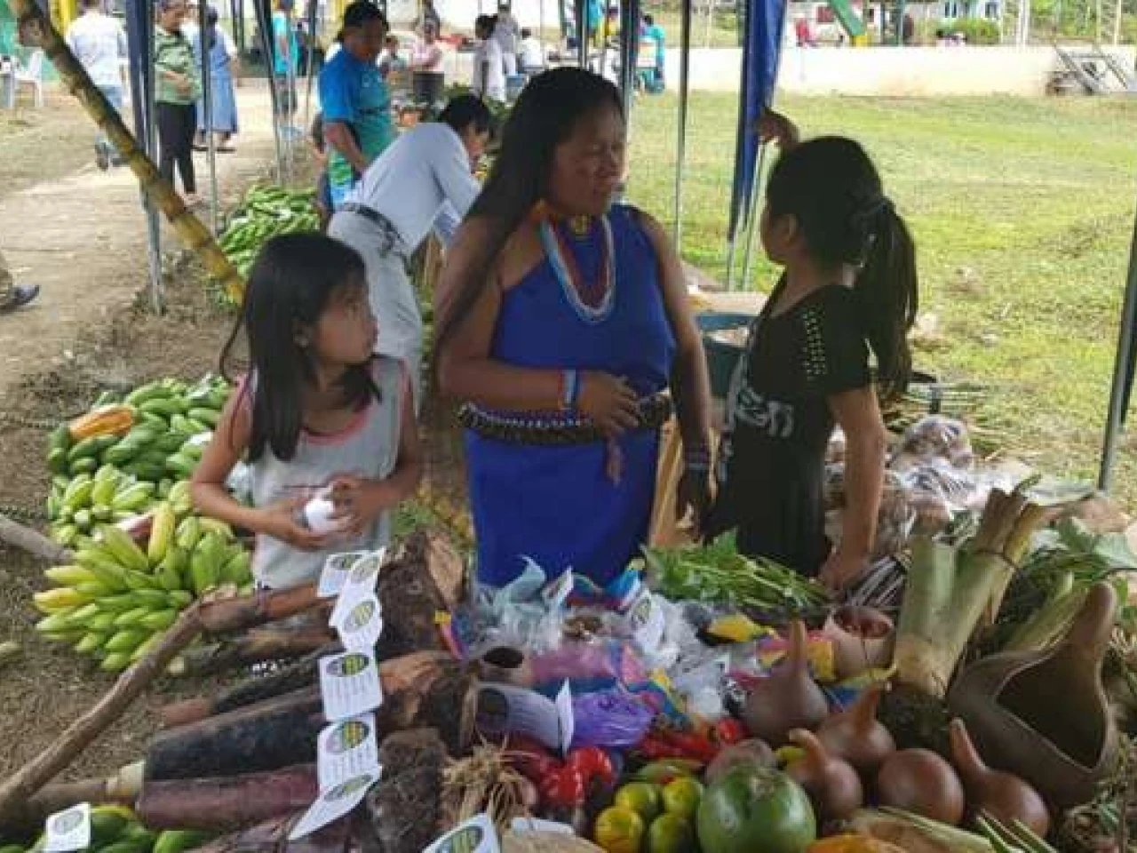 Los shuar de la Amazonia ecuatoriana decidieron exhibir y vender sus productos mediante ferias