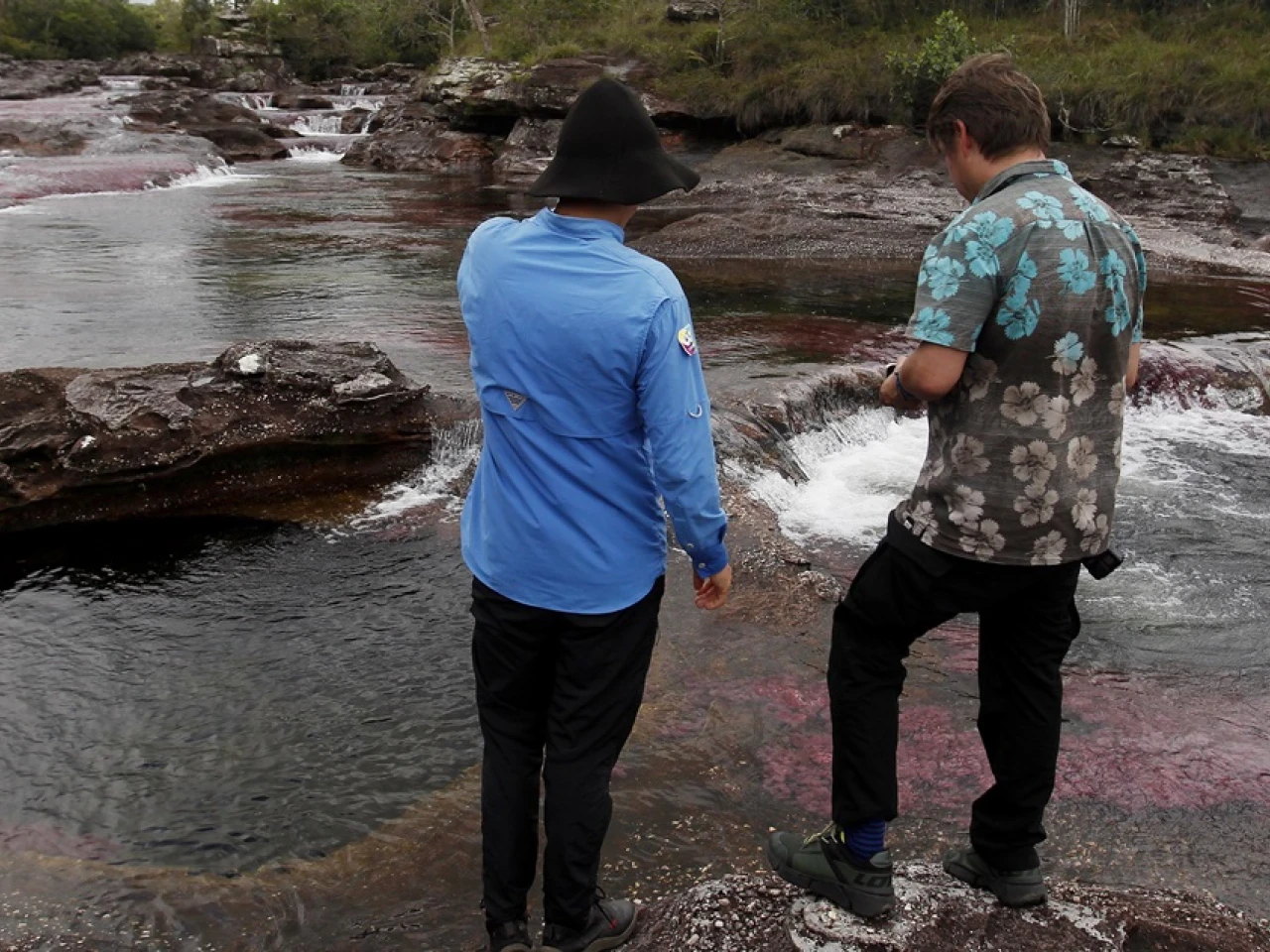 Colombia reconoce "gravedad" de cifras de asesinatos de líderes ambientales