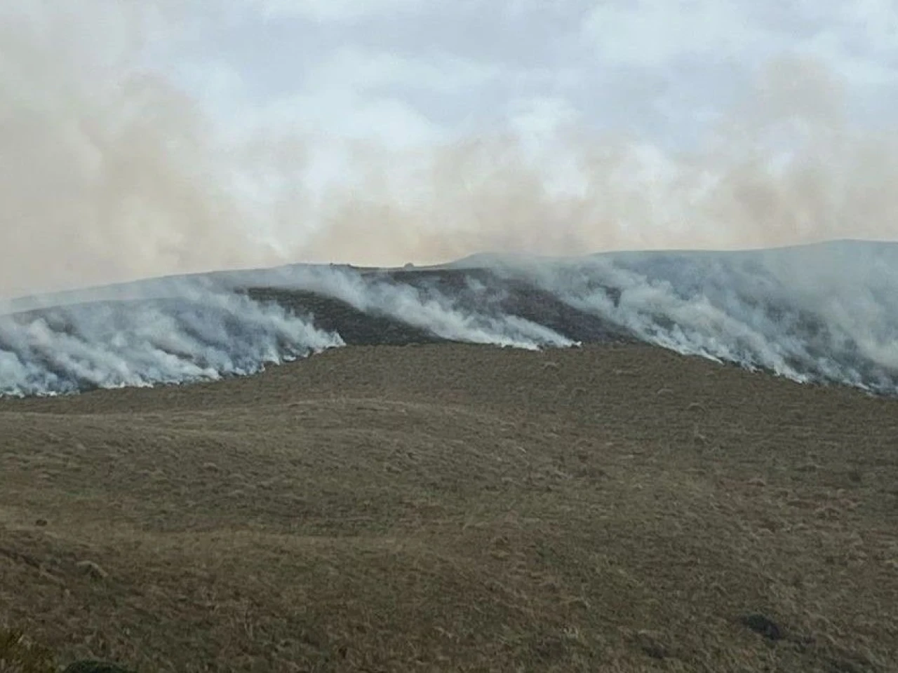 Incendio consumió mil hectáreas del Parque Nacional Cotacachi Cayapa