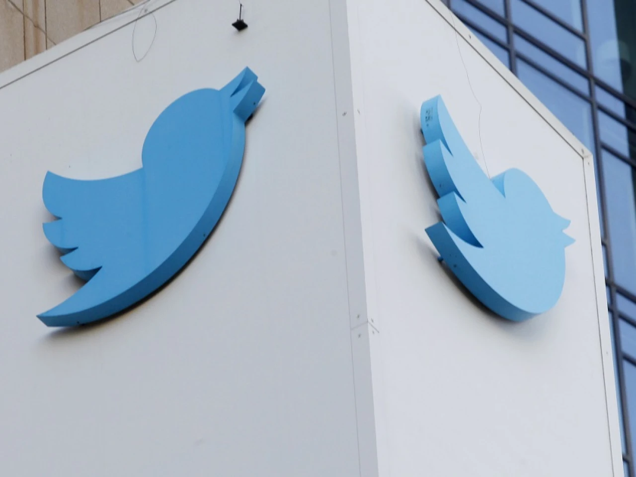 Twitter permite a usuarios de pago redactar tuits de hasta 10.000 caracteres