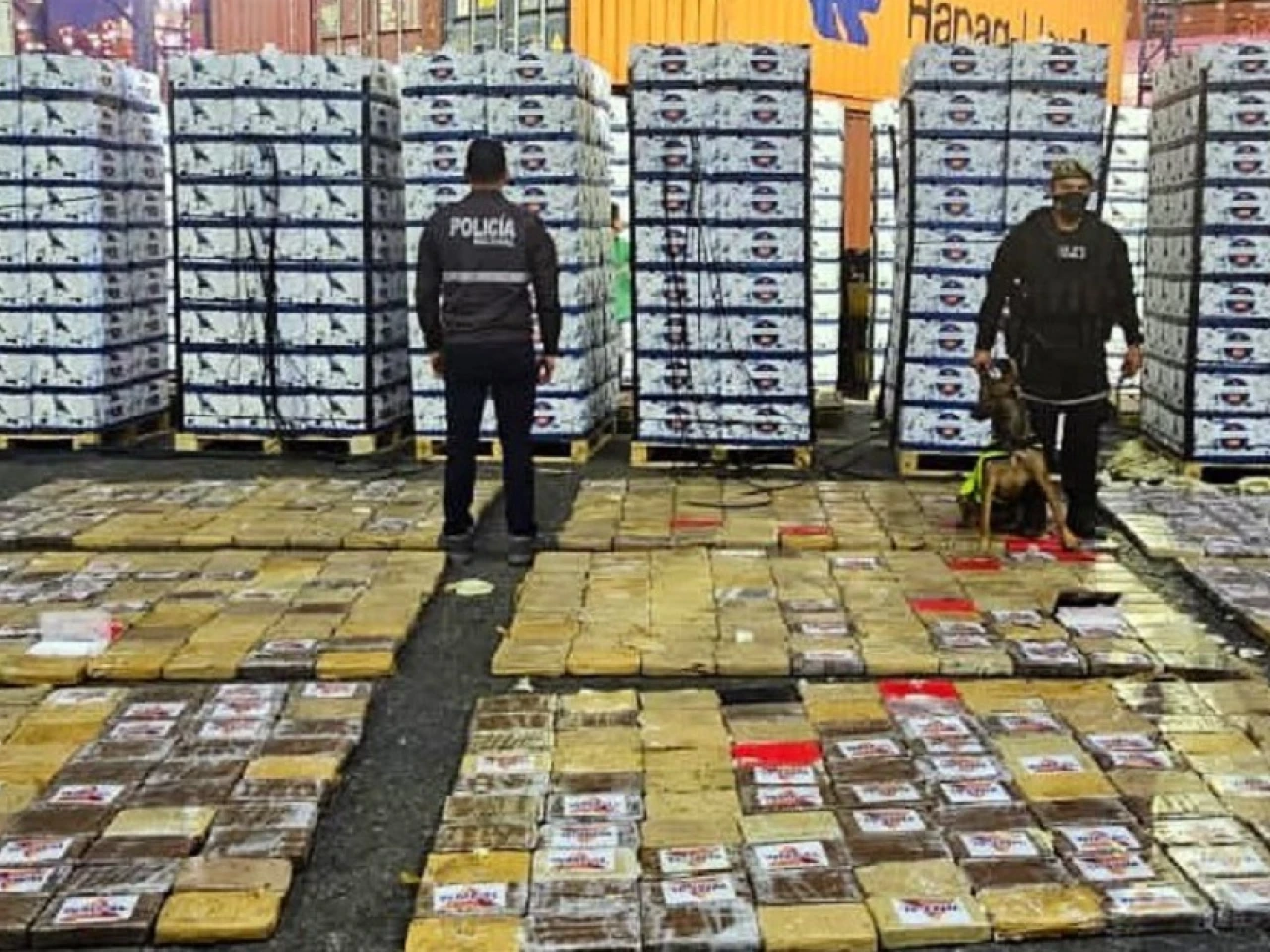 Perros antidroga ayudaron a incautar 800 kilos de cocaína en Guayaquil