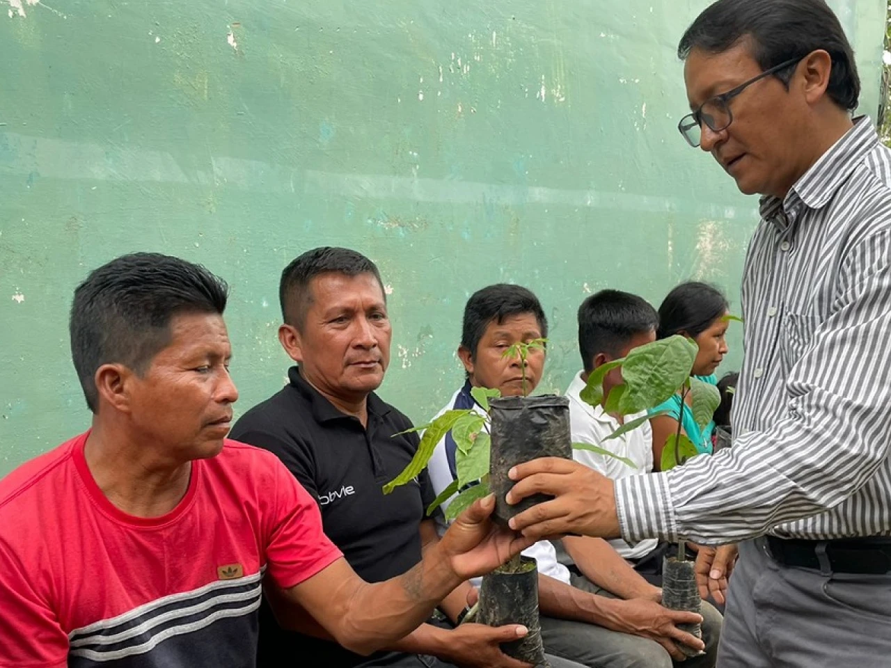 Plantas forestales, frutales y medicinales se producen en vivero comunitario en Misahuallí