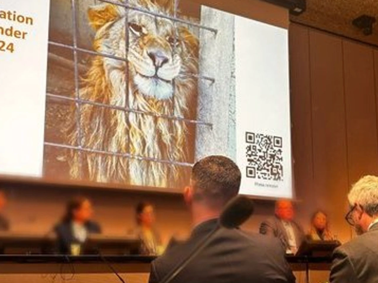 Interpol arrestó a 365 personas por tráfico de animales y plantas 