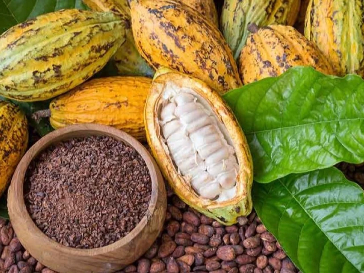 El cacao se cotiza en USD 8.261 por tonelada