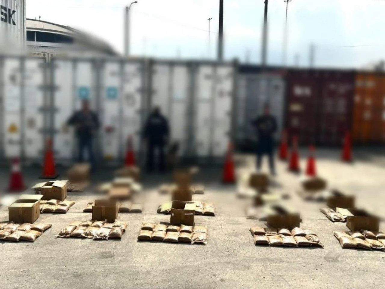 La Policía decomisó 297 kilos de cocaína que iban a Ámsterdam