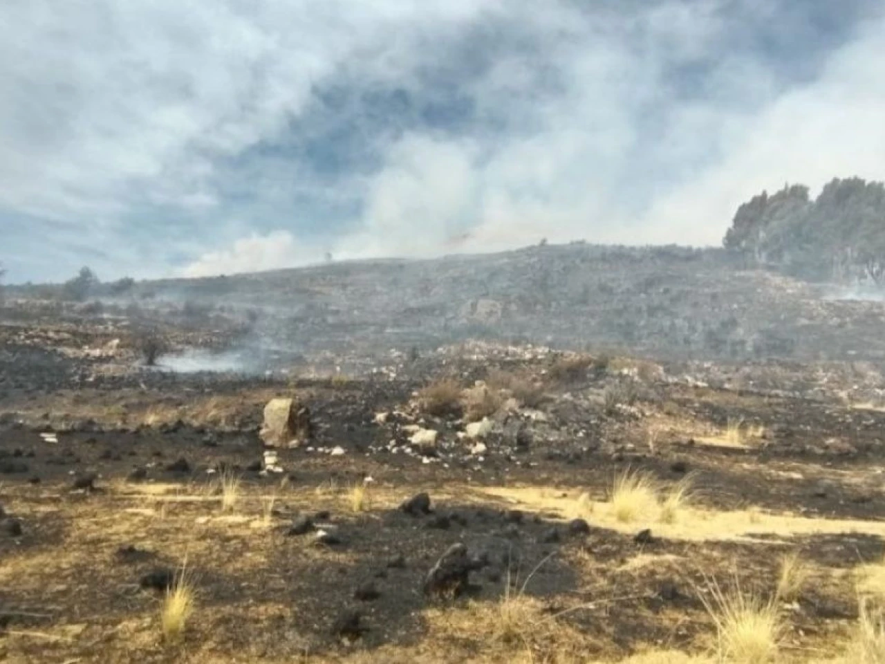 Perú extinguió 9 incendios forestales que afectaron más de 900 hectáreas