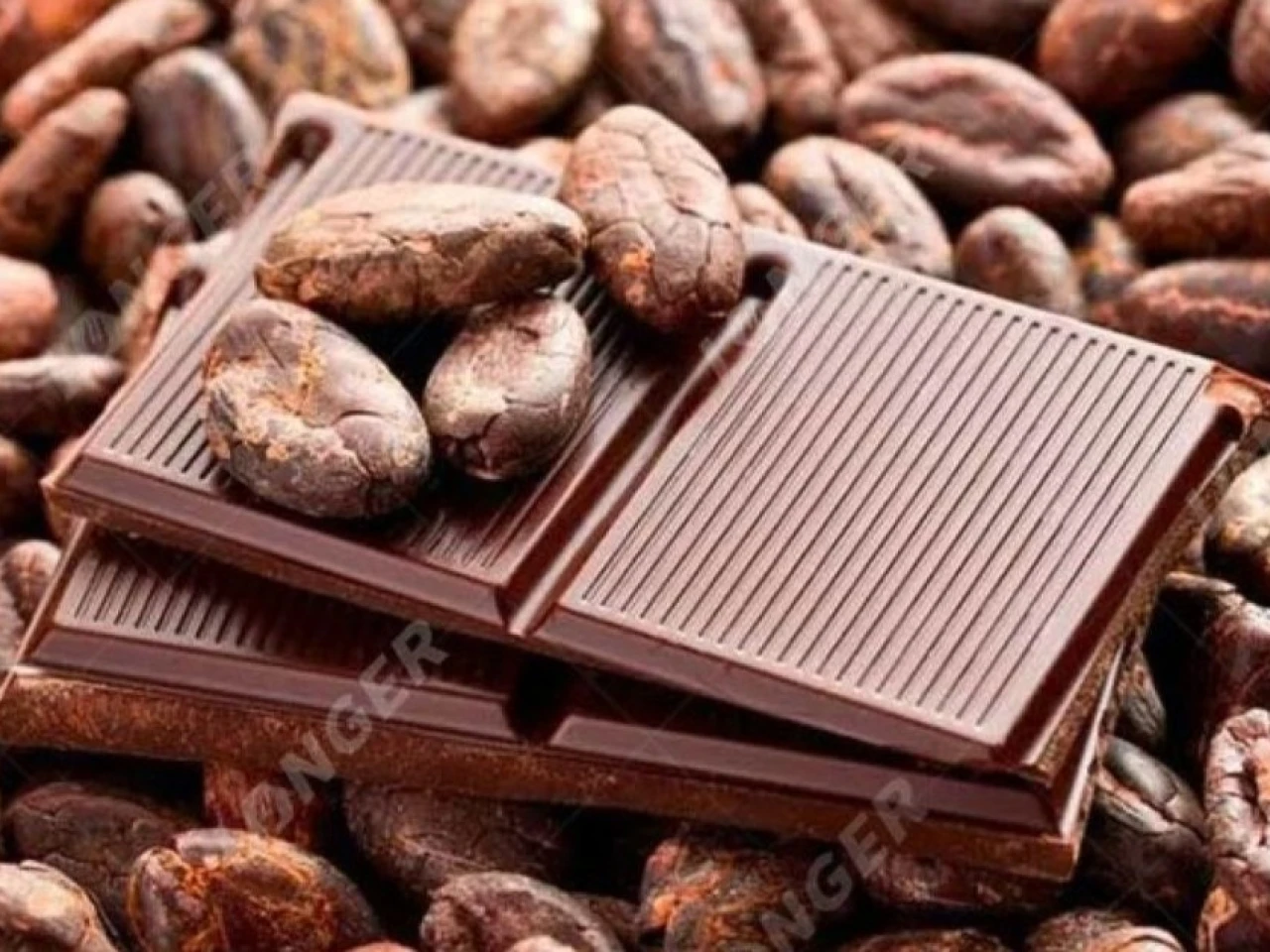 Preocupación entre productores de cacao en Ecuador