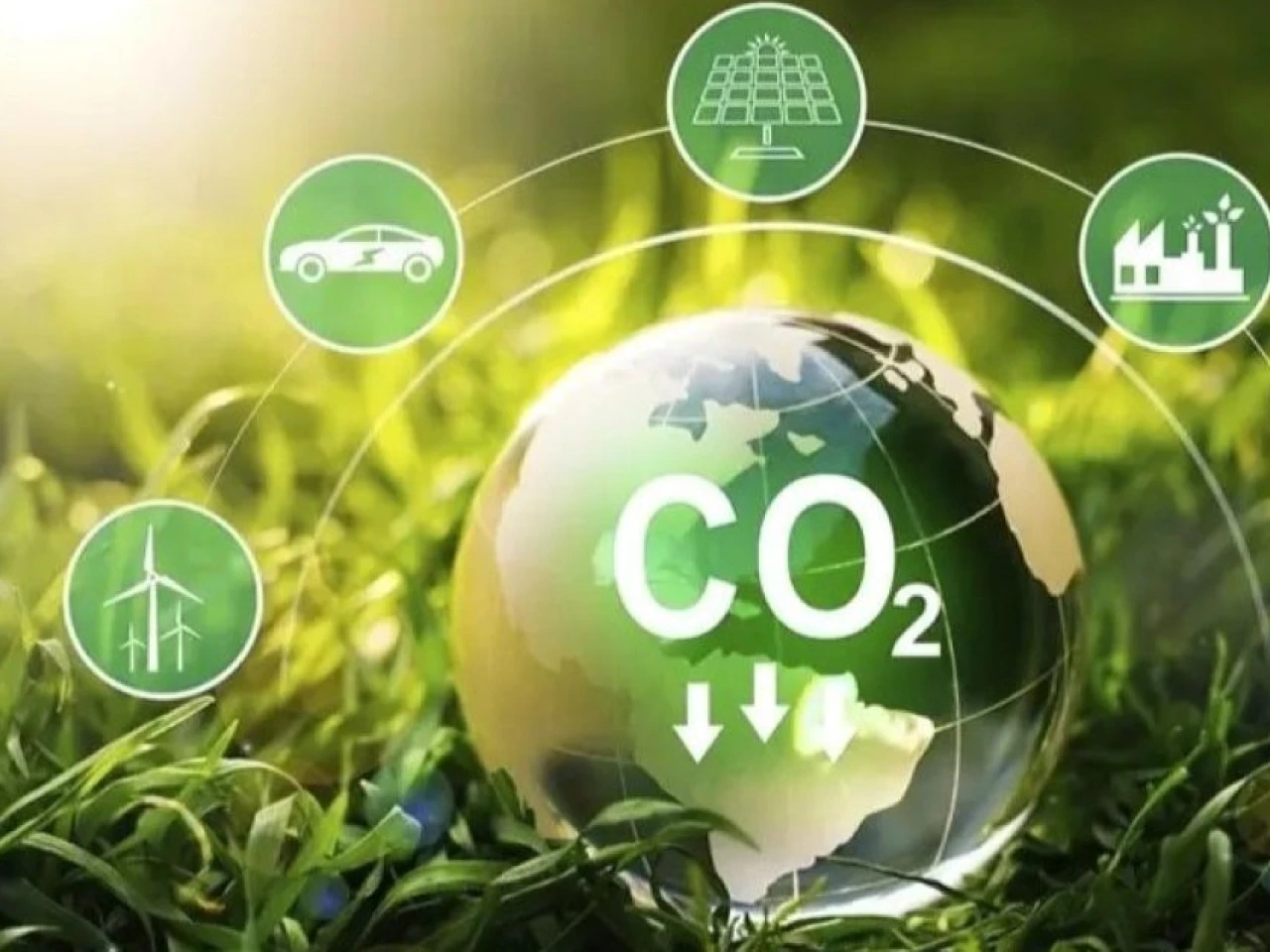Ecuador pierde $ 2.000 millones al quedar fuera de los mercados de carbono