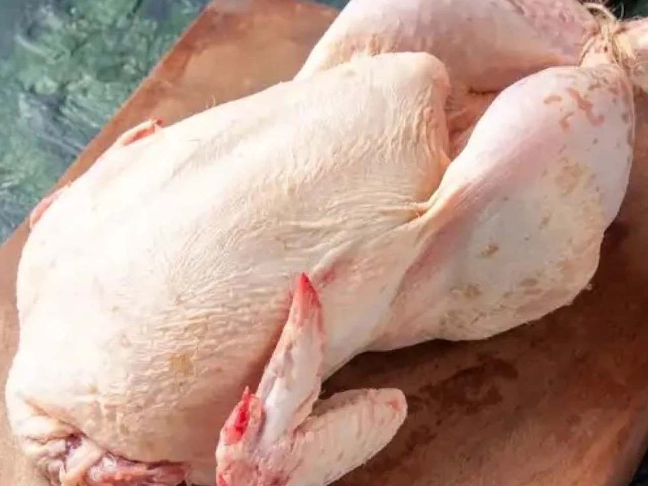 Ecuador produce más de 18 mil toneladas de carne de pavo 