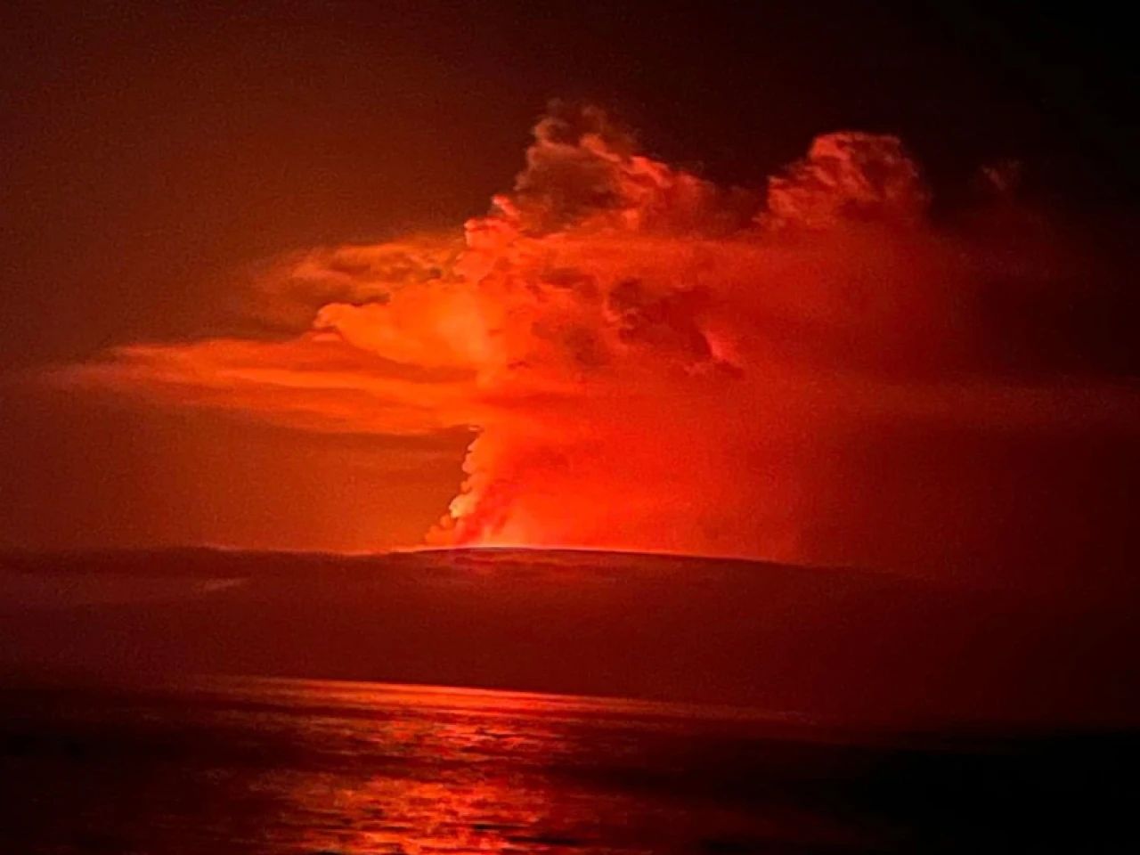El volcán Fernandina, en Galápagos, inició un nuevo proceso eruptivo