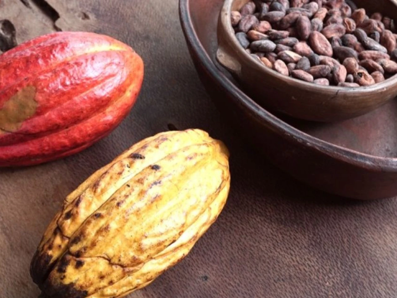 El precio del cacao está en $ 8.797 por tonelada 