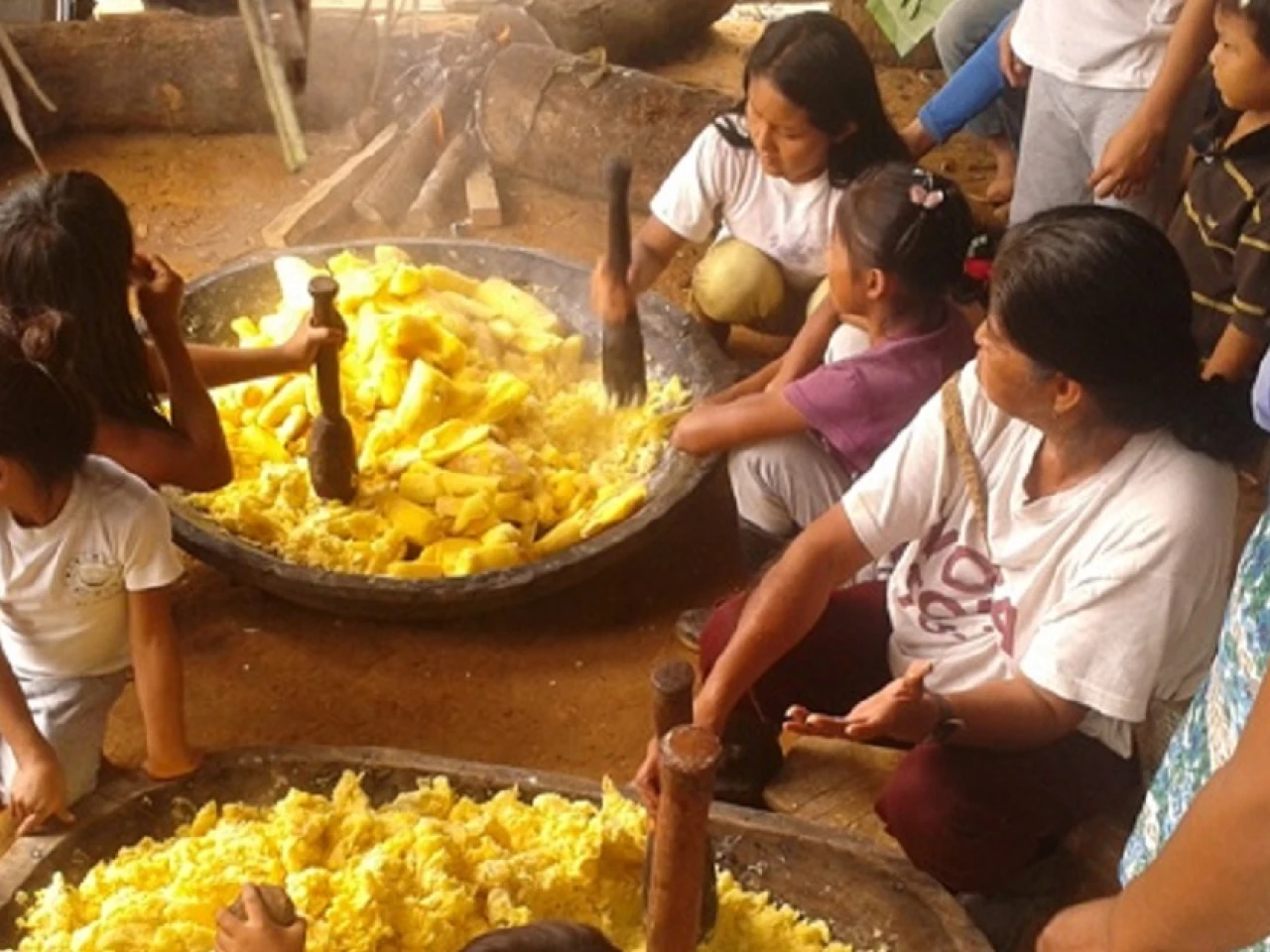 La chicha de yuca es una tradición de los sarayakus