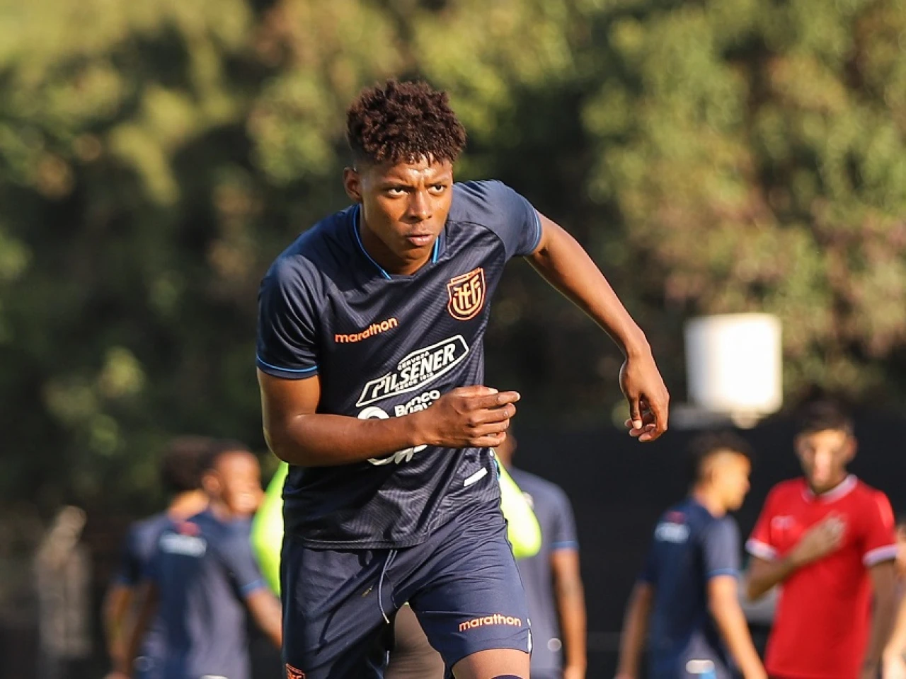 Cuero, Páez y Napa comandan la esperanza de Ecuador para el Mundial Sub-20