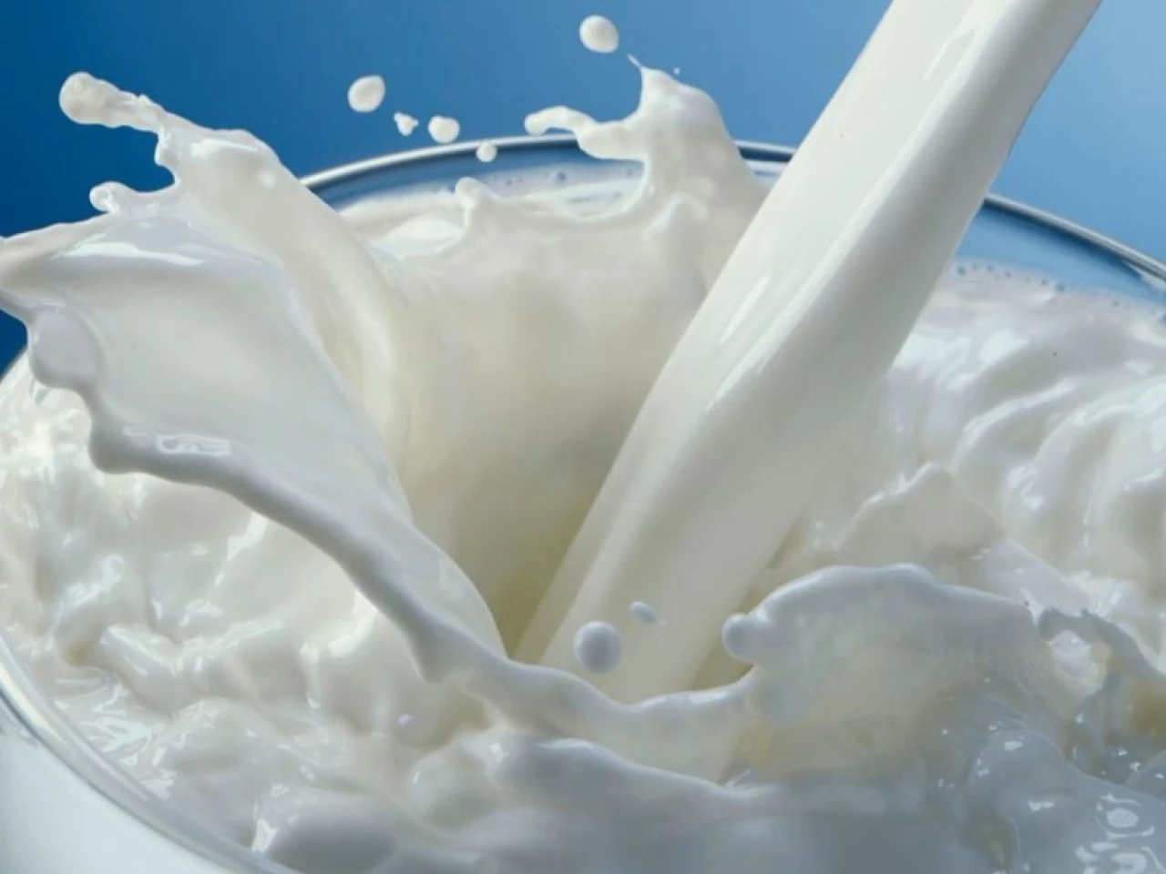 El precio de leche en funda subirá de precio 