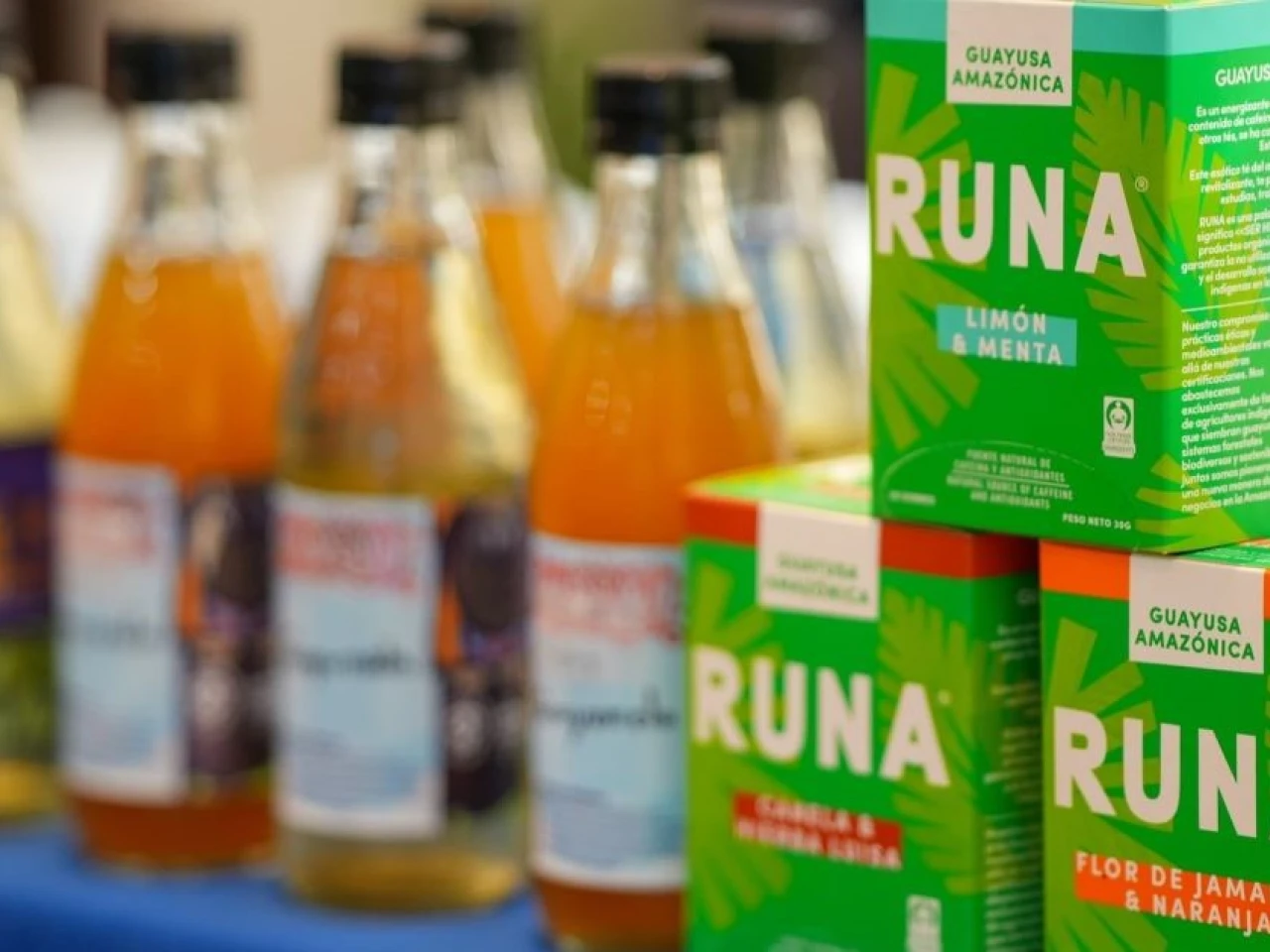 Napo: La Ruta Agroproductiva de la Guayusa avanza 