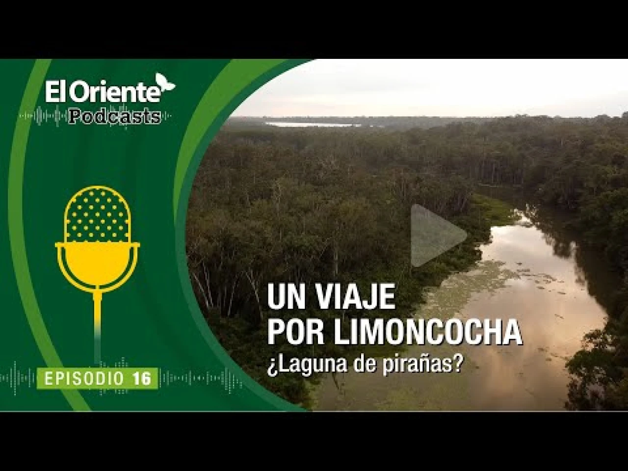La Voz de la Amazonía: Un Viaje por Limoncocha ¿Laguna de pirañas?