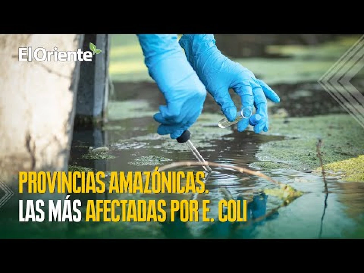 Las provincias amazónicas son las más afectadas por la bacteria E. coli