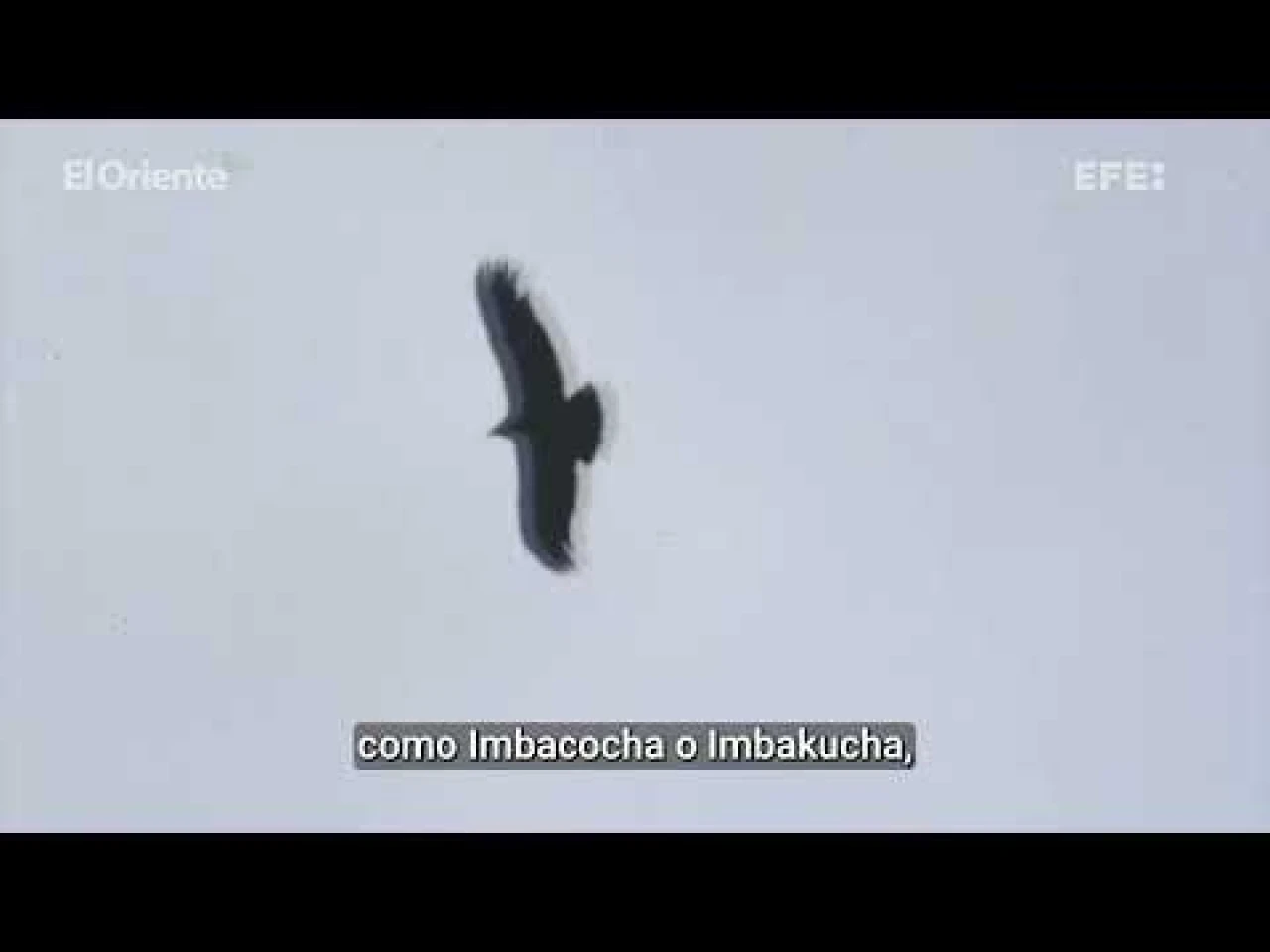 Más de medio millar de personas se unen para limpiar el lago natural más grande de Ecuador