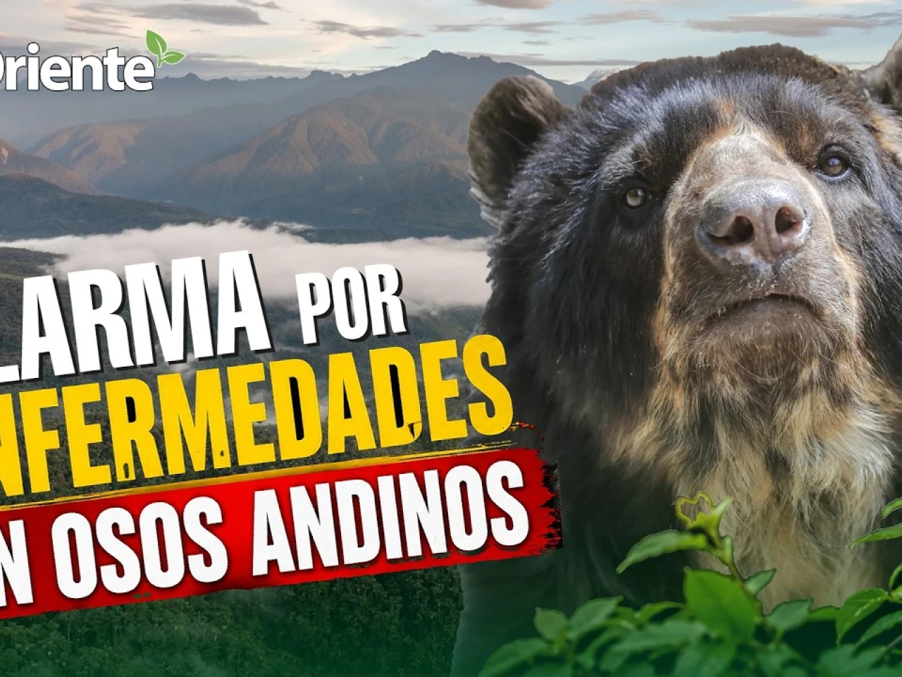 Noticias de Ecuador hoy. Podcast Noti Oriente [22 de mayo de 2026]
