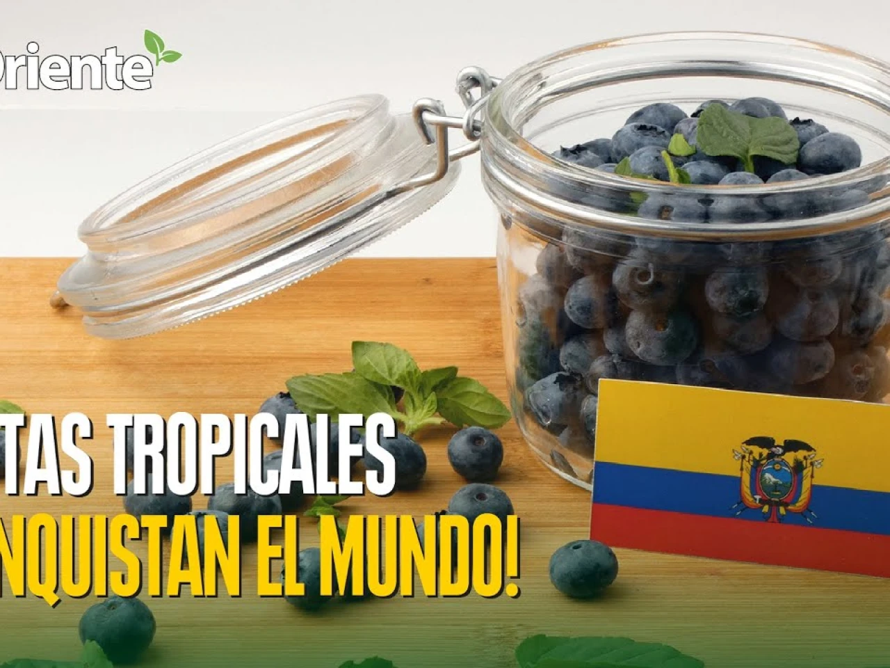 Noticias de Ecuador. Podcast Noti Oriente [17 de octubre de 2025]