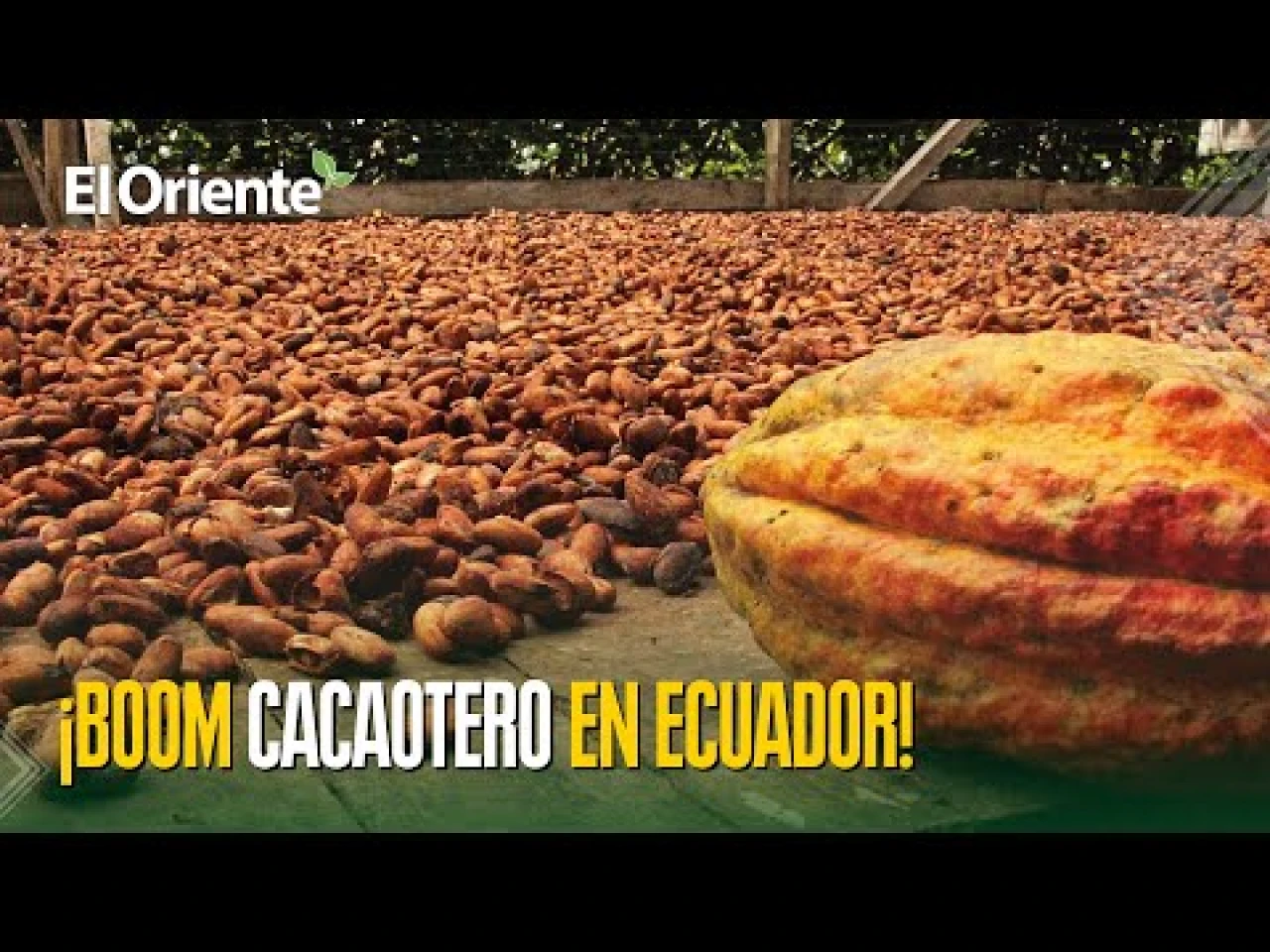 Noticias de Ecuador. Podcast Noti Oriente [21 de marzo, 2025]