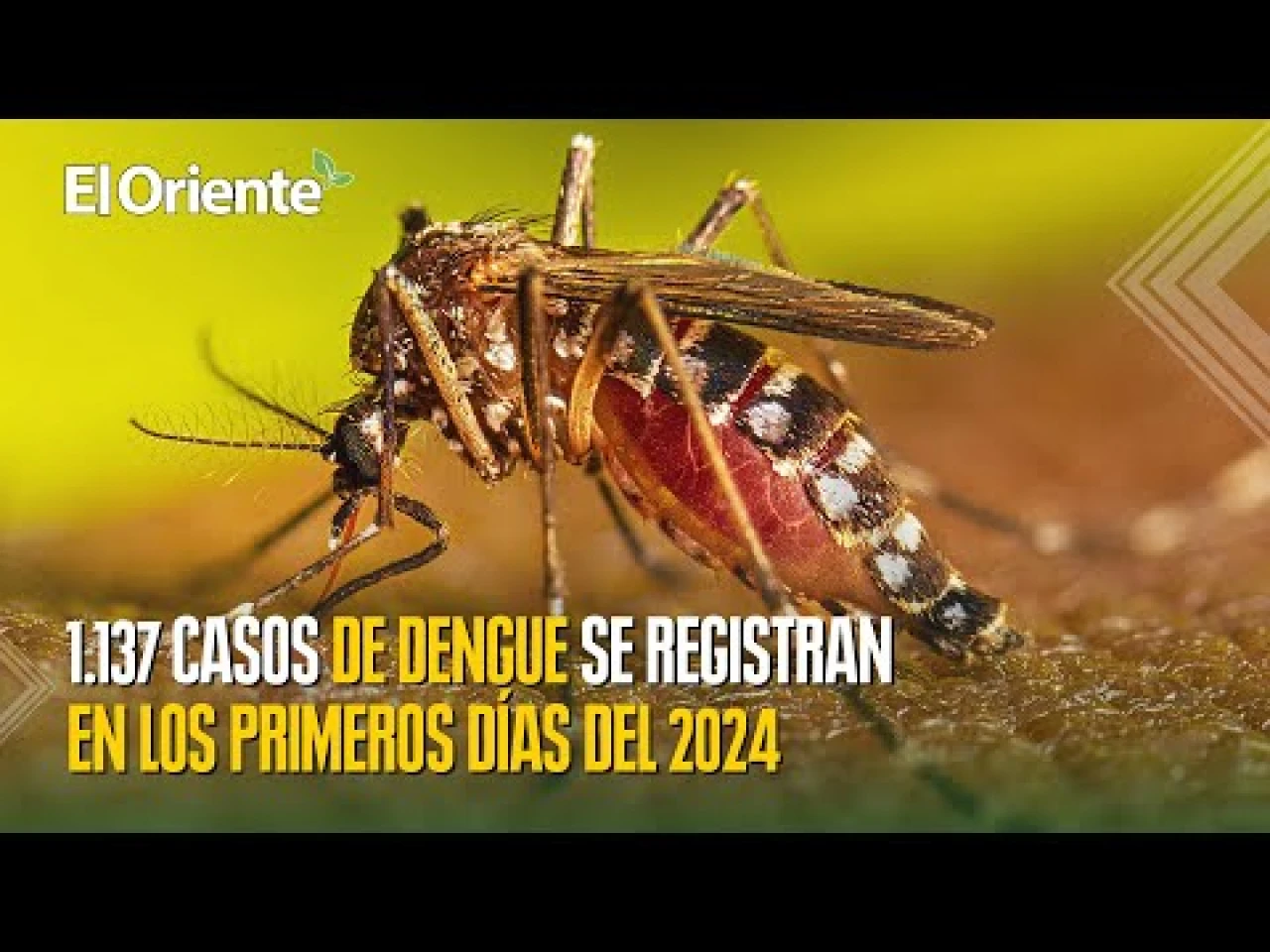 Noticias de Ecuador. Podcast Noti Oriente [24 de enero, 2024] 