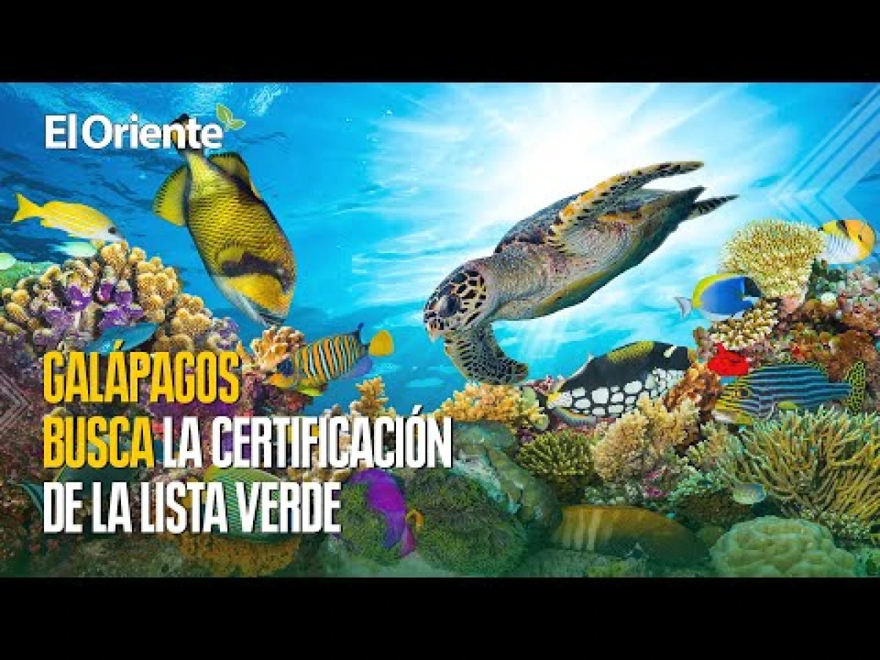 Noticias de Ecuador. Podcast Noti Oriente [4 de agosto, 2023]