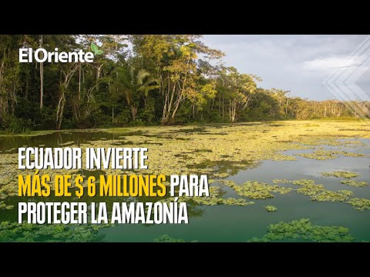 Noticias de Ecuador. Podcast Noti Oriente [7 de agosto, 2023]
