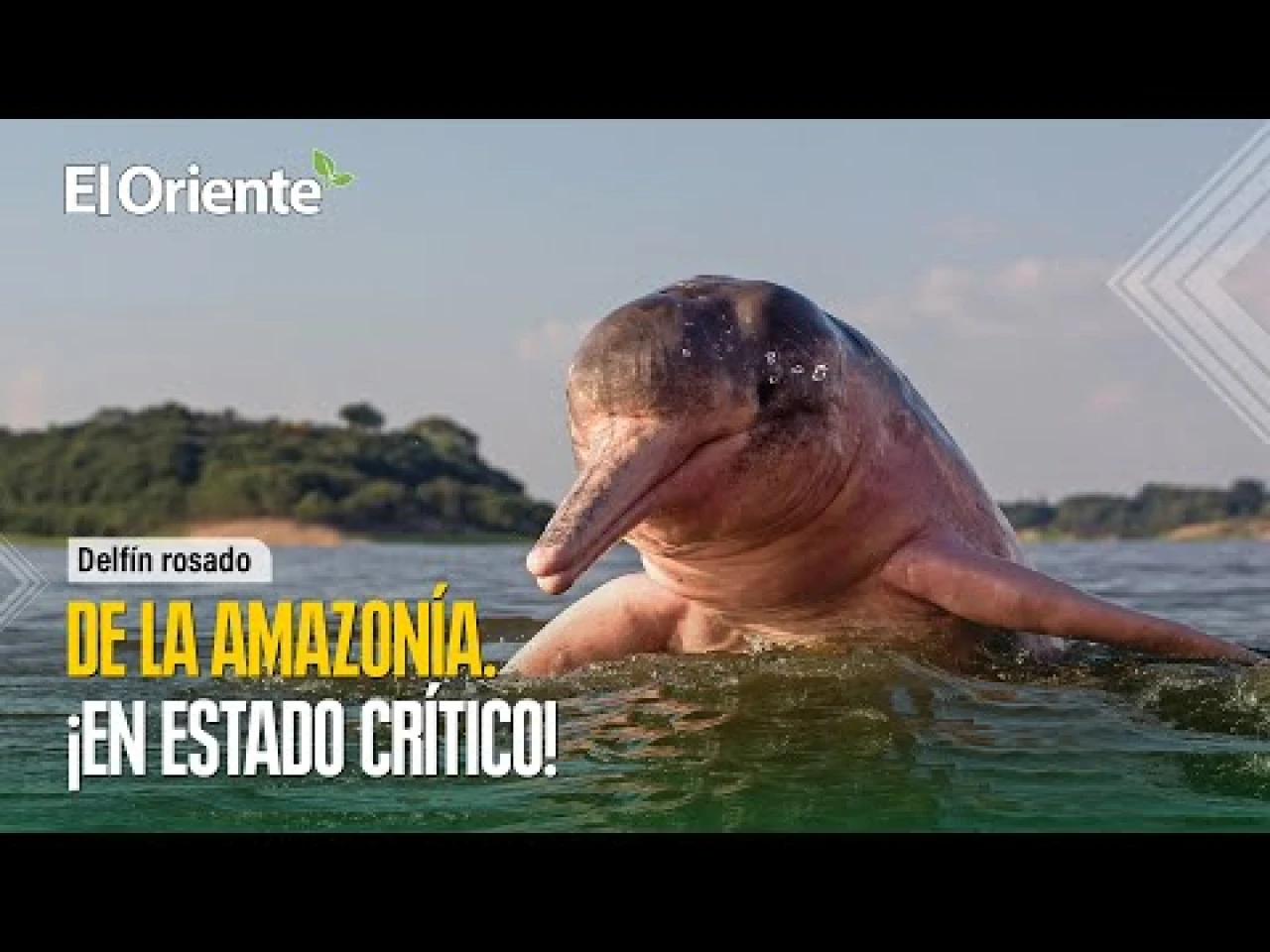 Noticias Ecuador. Podcast Noti Oriente 17-04-2023