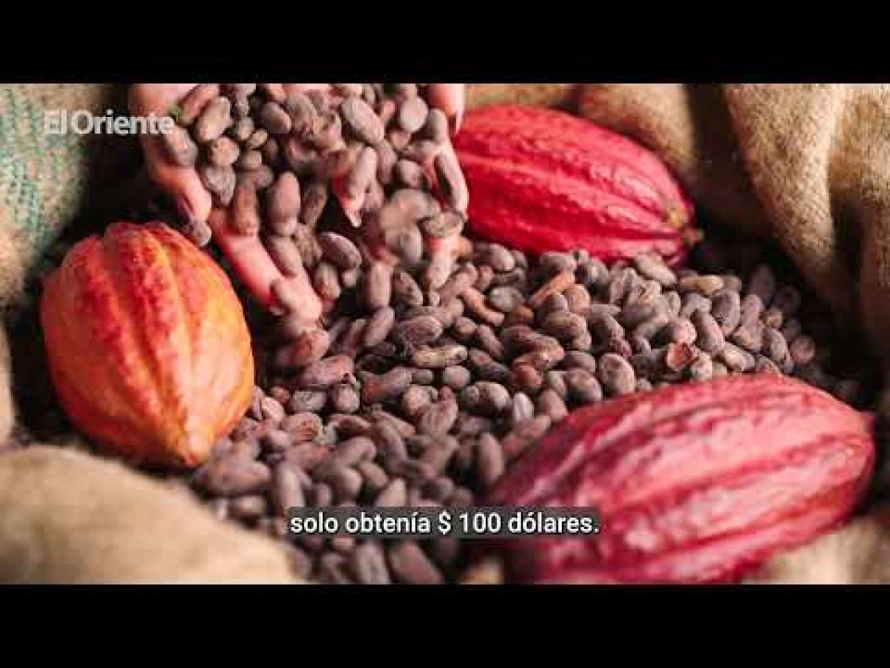 ¿Qué significa para Ecuador el precio récord del cacao? 