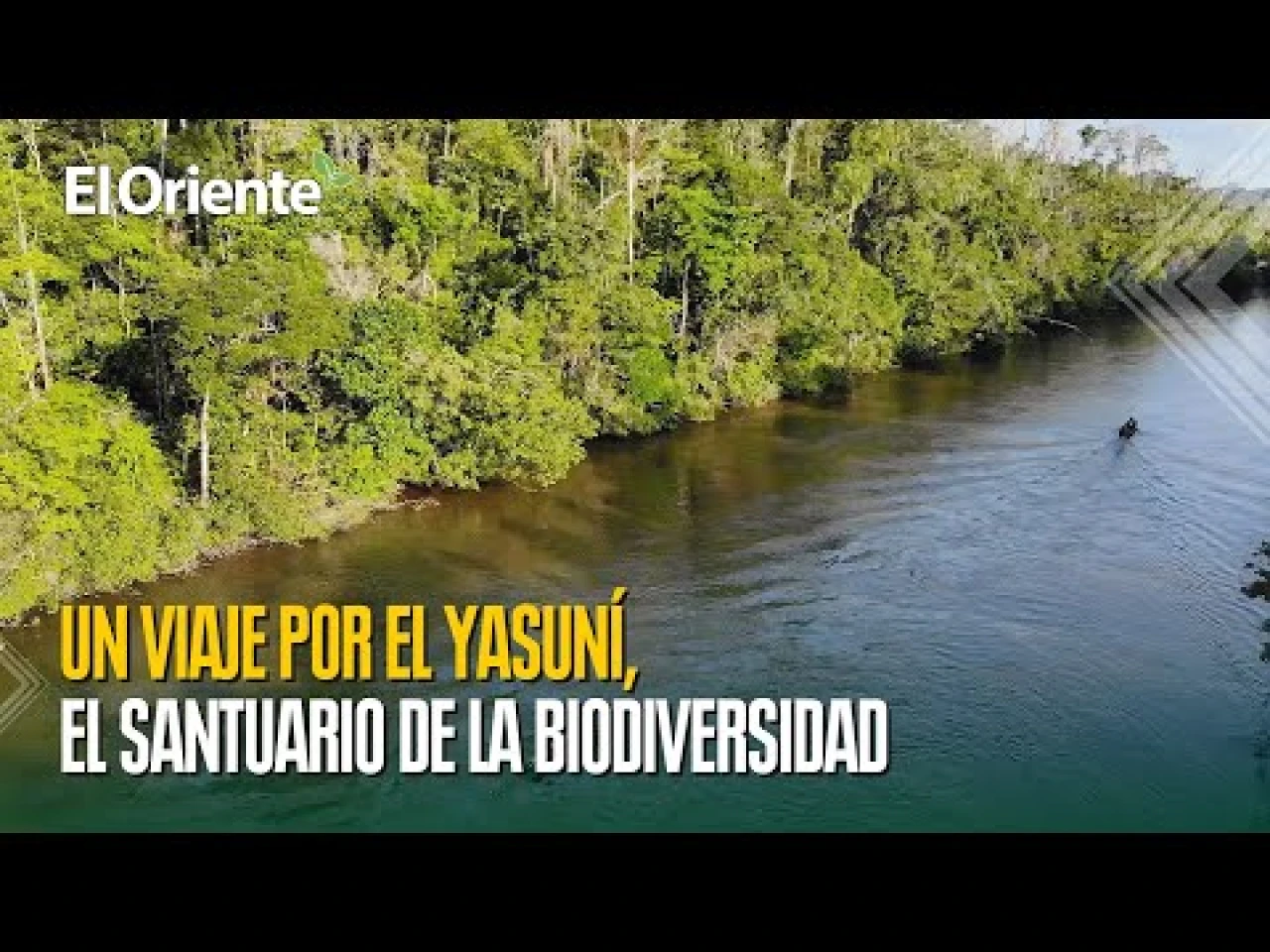 Yasuní: Un viaje a la Tierra Sagrada y su incomparable biodiversidad