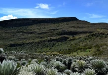 La UTPL estrena serie documental sobre los páramos