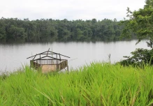 Investigadores desarrollan primer modelo de pesca sostenible para la Amazonía