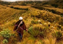 Ecuador lanzó el primer 'token' ambiental