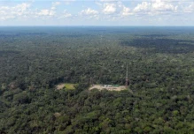 Área protegida del Yasuní crece en 300 hectáreas