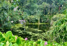 El ‘Bosque de luz’ fue inaugurado en el Jardín Botánico de Quito