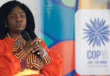 Ecuador condenó ataque contra la vicepresidenta de Colombia
