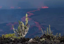 Dos volcanes son un nuevo atractivo para turistas en las islas Galápagos