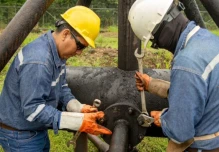 Ecuador habilita al Banco Central para asegurar el precio del petróleo 