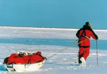 OMM advierte sobre rápidos cambios en los Polos, "gigante dormido" del cambio climático