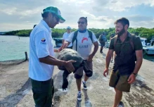 Hallan en Galápagos una especie de tortuga que se creía extinta desde hace más de un siglo