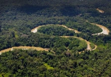 Ecuador es el país amazónico más deforestado